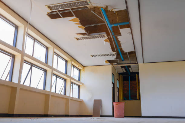 Best Mold removal after water damage  in Cherokee Village, AR