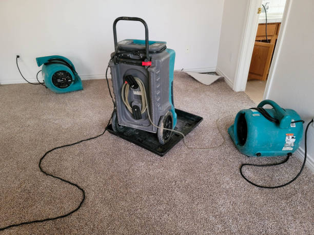 Best 24-hour water damage restoration  in Cherokee Village, AR