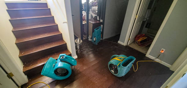 Best Sewage cleanup and water damage restoration  in Cherokee Village, AR