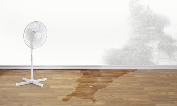 Best Water damage restoration near me  in Cherokee Village, AR