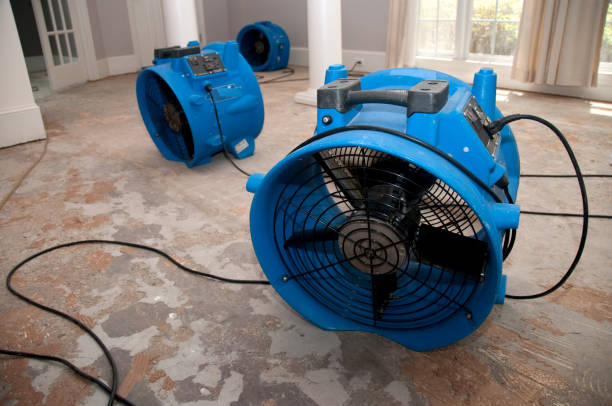 Best Ceiling water damage repair  in Cherokee Village, AR