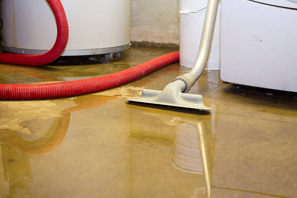 Best Local water damage restoration  in Cherokee Village, AR