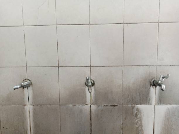 Best Water damage repair service  in Cherokee Village, AR